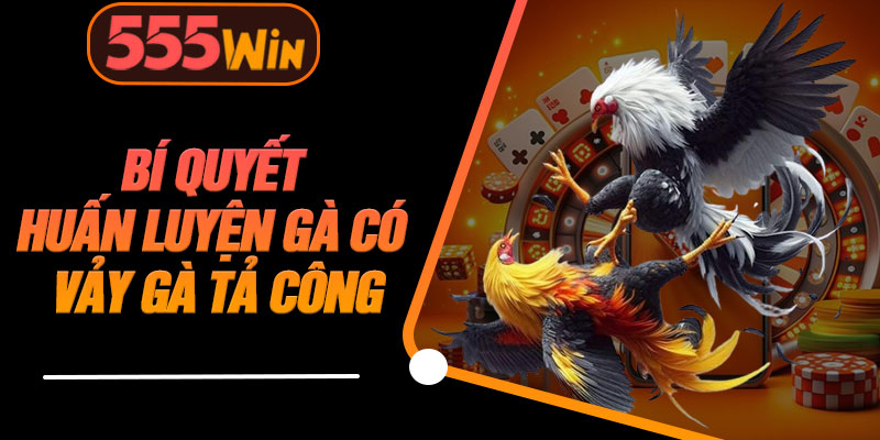 Bí Quyết Huấn Luyện Gà Có Vảy Gà Tả Công