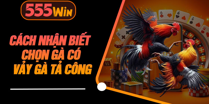 Cách Nhận Biết Chọn Gà Có Vảy Gà Tả Công
