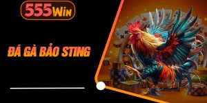 Đá Gà Bảo Sting