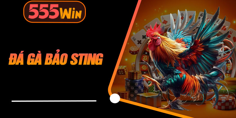 Đá Gà Bảo Sting