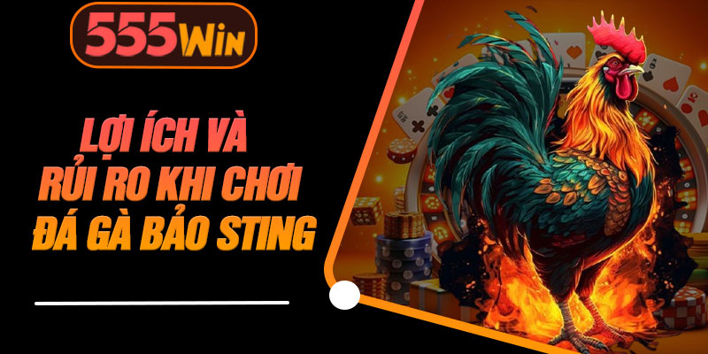 Lợi Ích Và Rủi Ro Khi Chơi Đá Gà Bảo Sting