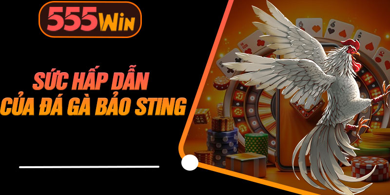 Sức Hấp Dẫn Của Đá Gà Bảo Sting
