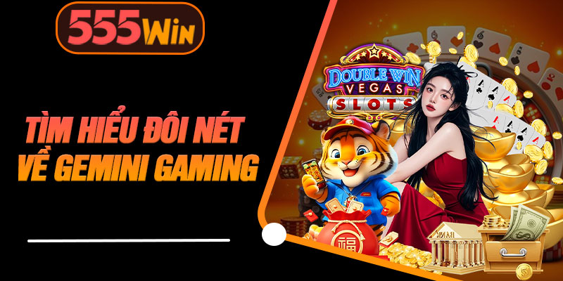 Tìm Hiểu Đôi Nét Về Gemini Gaming