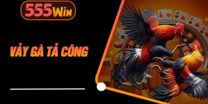 Vảy Gà Tả Công