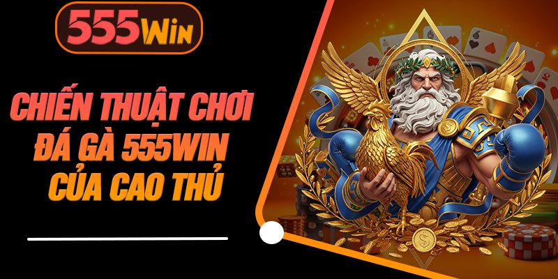 Chiến Thuật Chơi Đá Gà 555WIN Của Cao Thủ