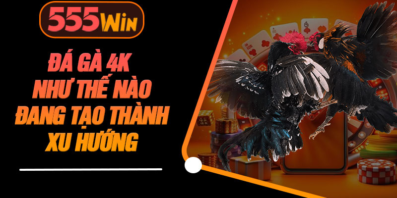 Đá Gà 4K Như Thế Nào Đang Tạo Thành Xu Hướng