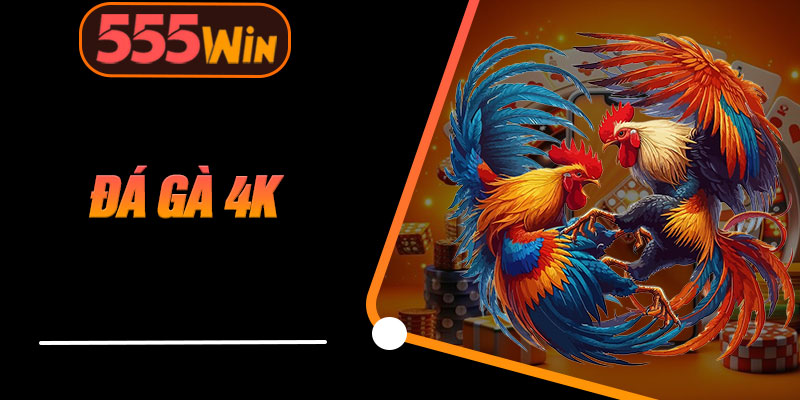 Đá Gà 4K