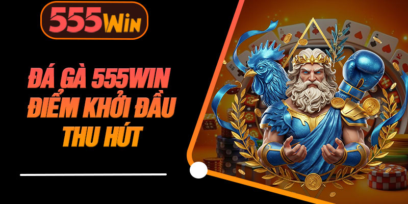 Đá Gà 555WIN Điểm Khởi Đầu Thu Hút