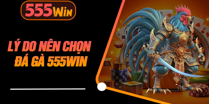 Lý Do Nên Chọn Đá Gà 555WIN