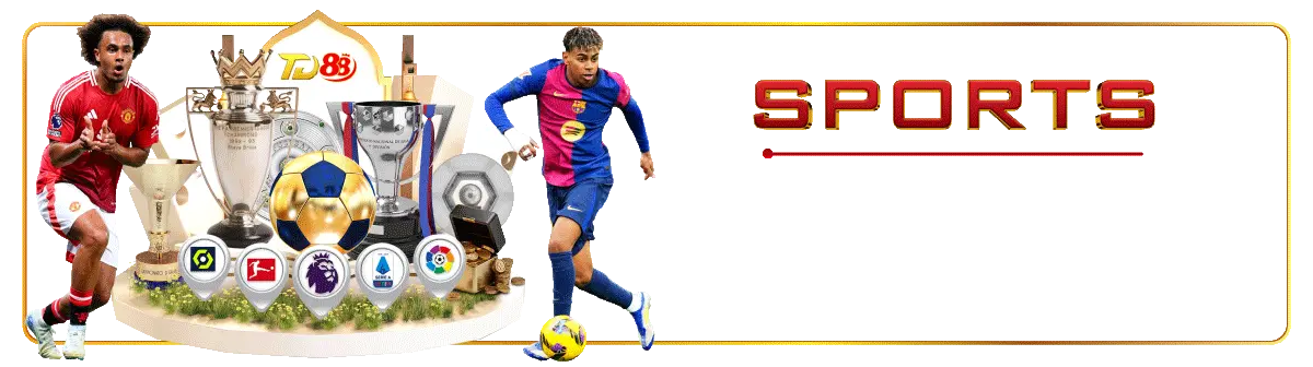 sports poster